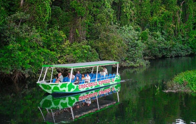 Cairns Có Gì Hấp Dẫn? Khám Phá Thiên Nhiên Nhiệt Đới Australia