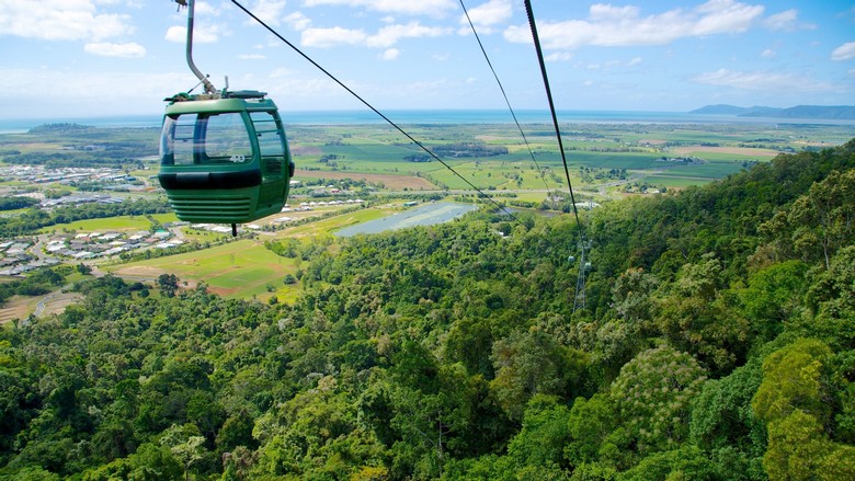 Cairns Có Gì Hấp Dẫn? Khám Phá Thiên Nhiên Nhiệt Đới Australia