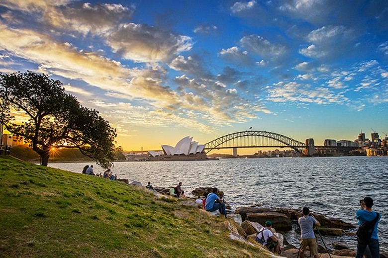 Mrs Macquarie's Chair: Góc ngắm Opera House và Harbour Bridge đẹp